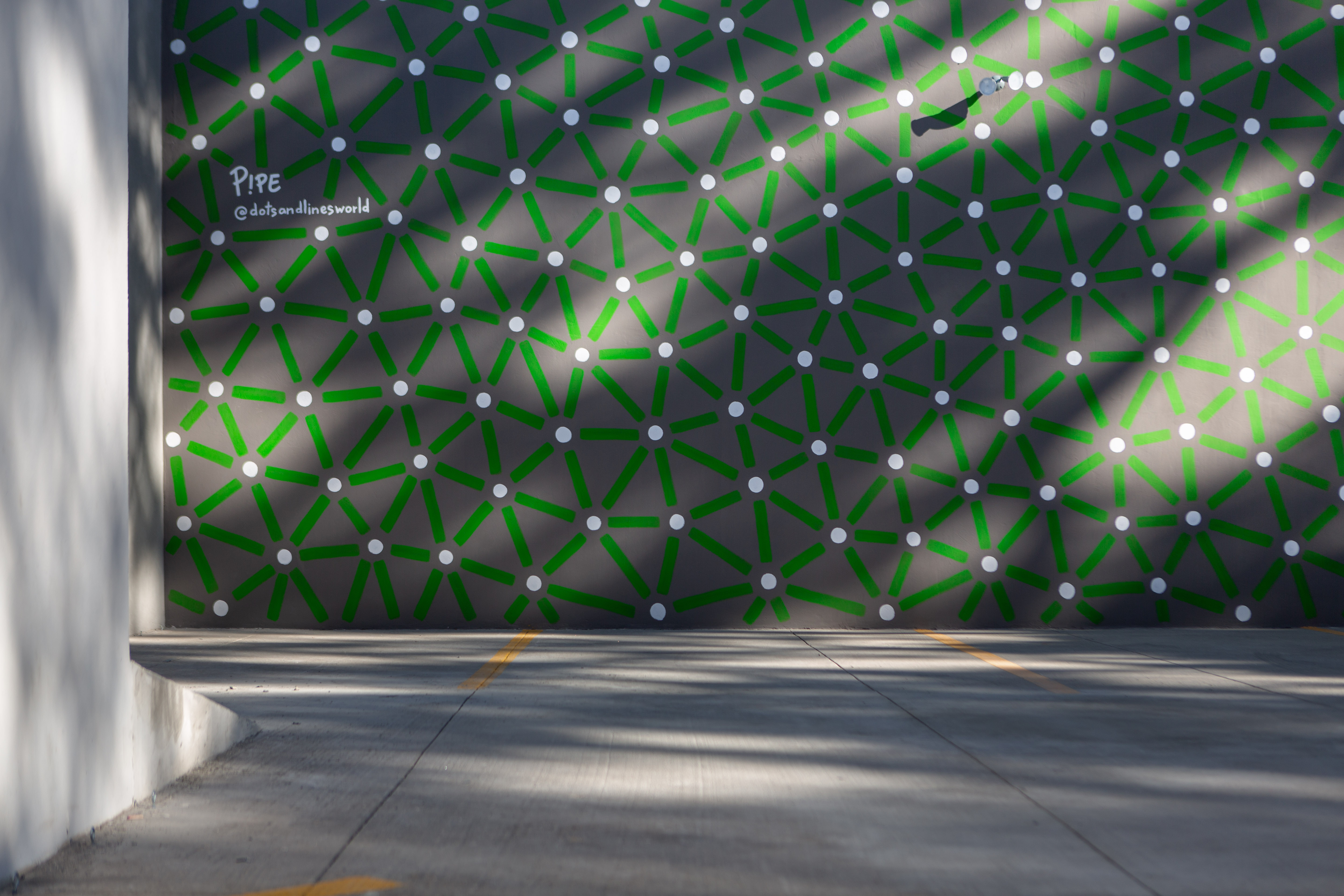 Roots: Green connecting lines and pale dots cover a long gray courtyard wall in sunlight.
