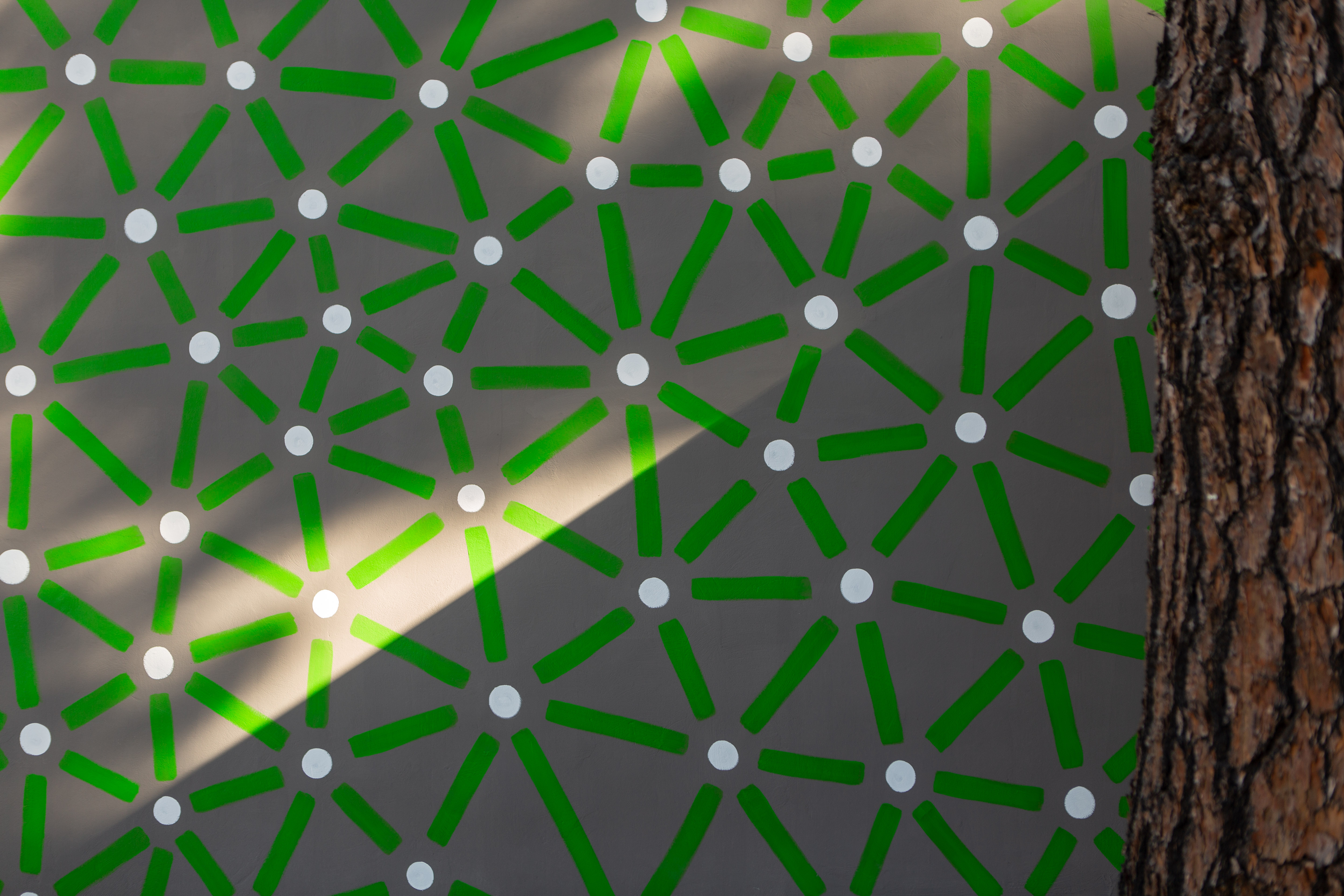 Roots: Close-up of green lines and pale dots on a gray wall beside a tree trunk.