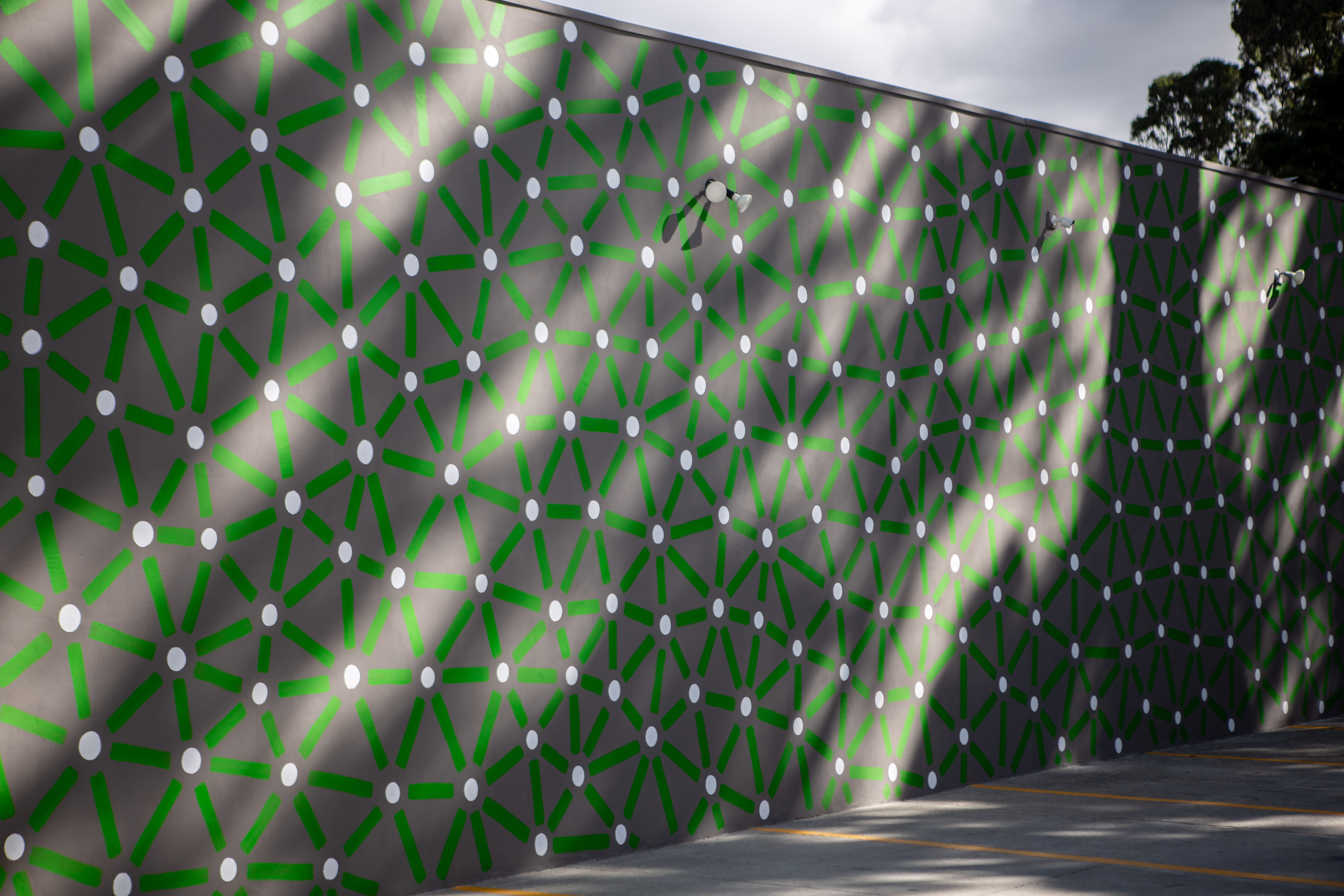 Roots: Green connecting lines and pale dots cover a long gray courtyard wall in sunlight.